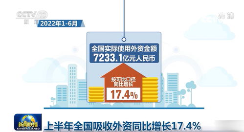 上半年全国吸收外资同比增长17.4%，信息技术咨询服务成亮点