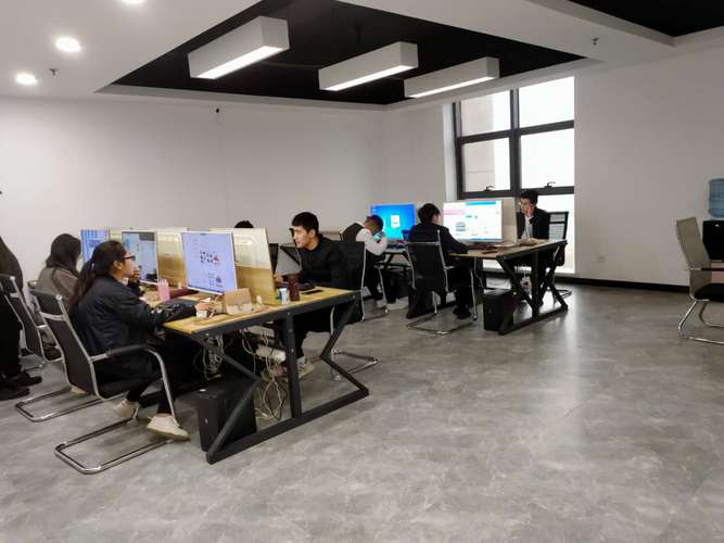 网络技术服务企业的三维生长 从技术深耕到生态共赢